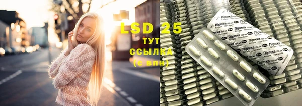 PSILOCYBIN Бородино