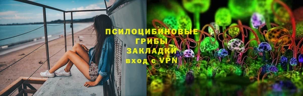твердый Бронницы