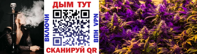 Шишки марихуана LSD WEED  kraken   Оса 